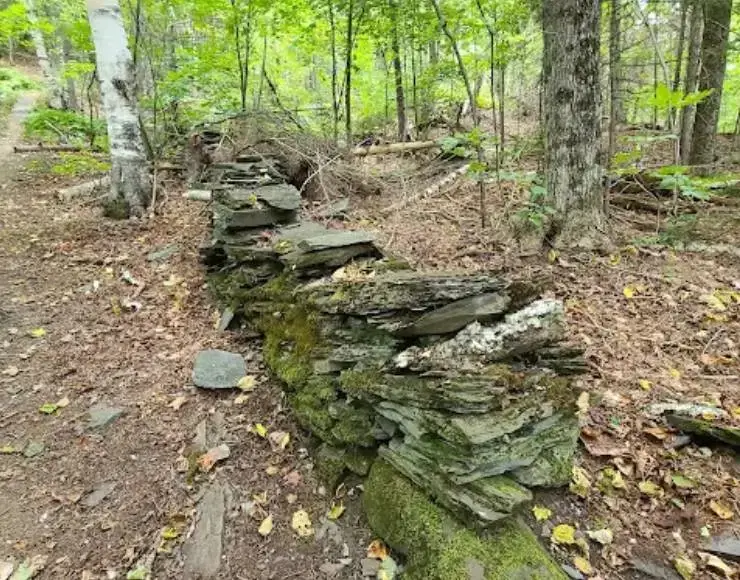 Allis State Park (Thumbnail)