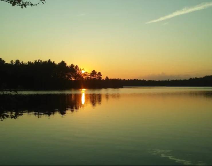 Campsite Donald Dewing (Thumbnail)