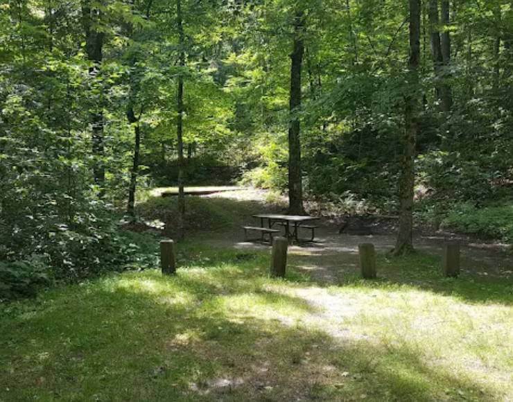 Chittenden Brook Campground (Thumbnail)