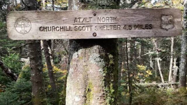 Coolidge State Forest (Thumbnail)