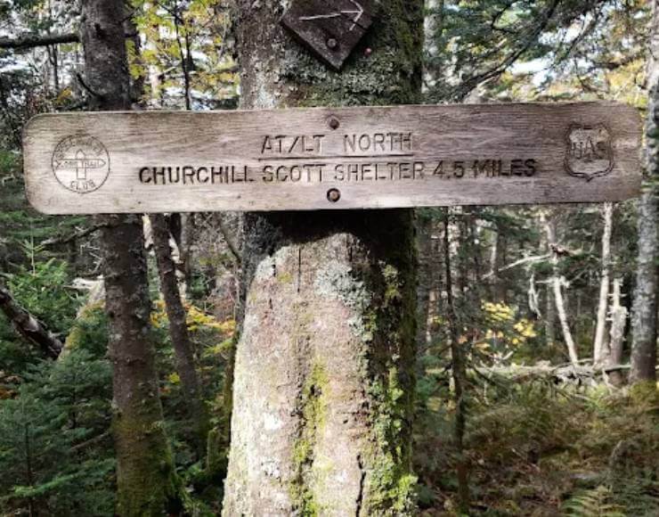 Coolidge State Forest (Thumbnail)