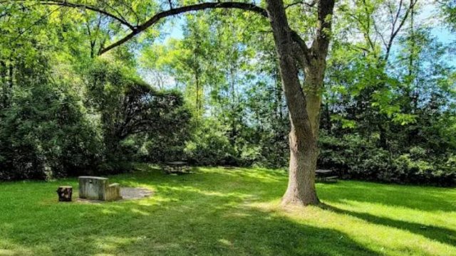 D.A.R. State Park (Thumbnail)