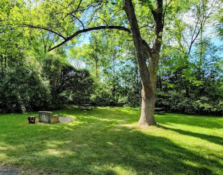 D.A.R. State Park (Thumbnail)