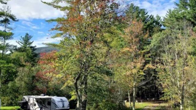 Dorset RV Park (Thumbnail)