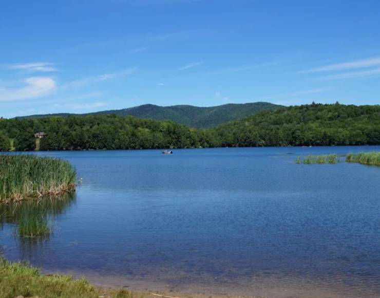 Gifford Woods State Park (Thumbnail)