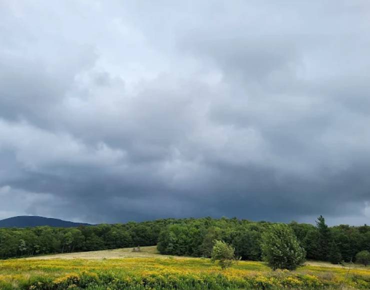 Grateful Acres Vermont (Thumbnail)