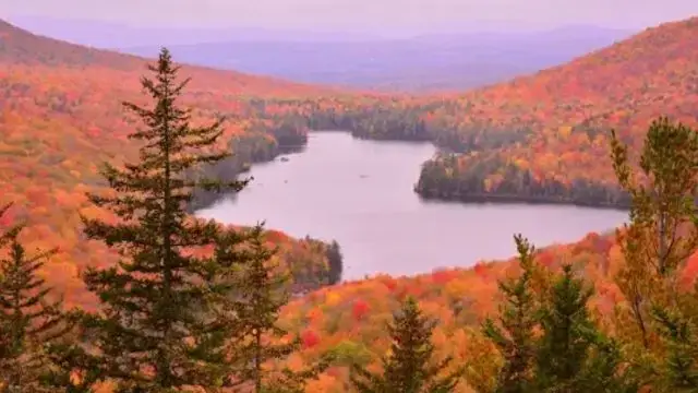 Groton State Forest (Thumbnail)