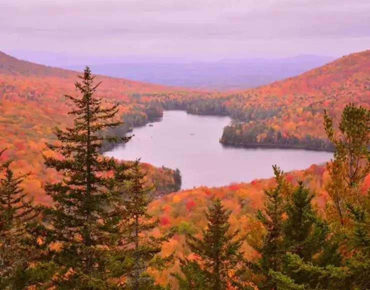 Groton State Forest (Thumbnail)