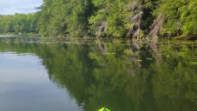 Half Moon Pond State Park Campground (Thumbnail)