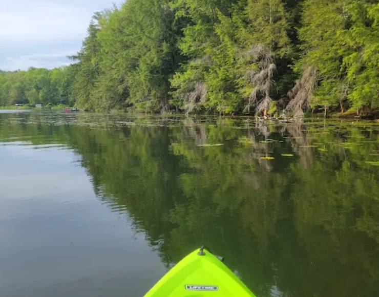 Half Moon Pond State Park Campground (Thumbnail)