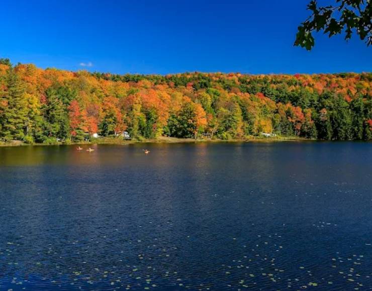 Half Moon Pond State Park (Thumbnail)