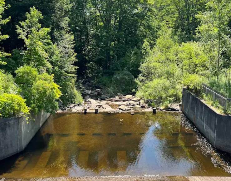 Hapgood Pond Campground (Thumbnail)