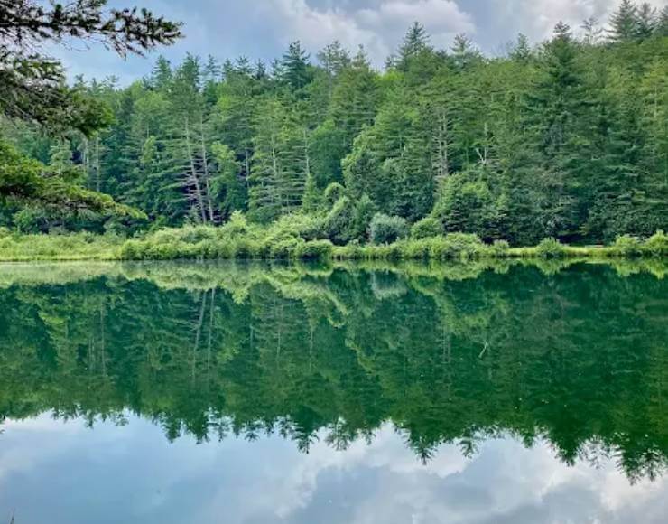 Howell’s Camping Area (Thumbnail)