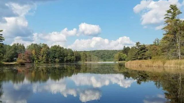 Lake Shaftsbury State Park (Thumbnail)