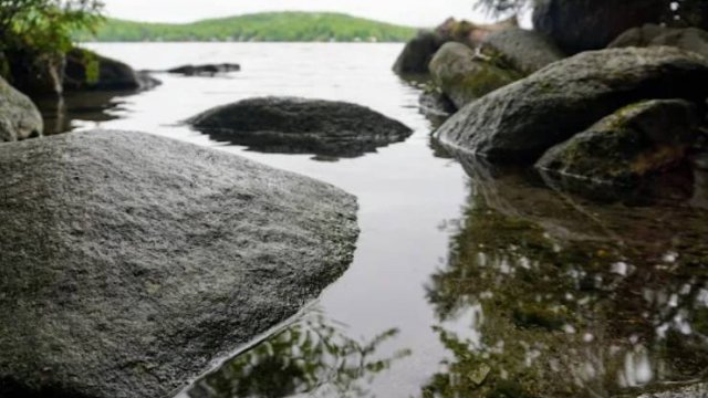 Maidstone State Park (Thumbnail)