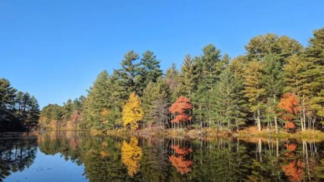 Pulaski State Park and Recreational Area (Thumbnail)