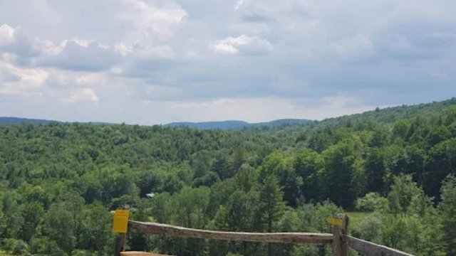 Rest-N-Nest Campground (Thumbnail)