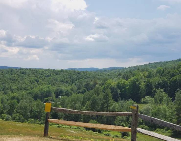 Rest-N-Nest Campground (Thumbnail)