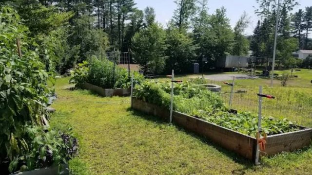 Running Bear Camping Area (Thumbnail)