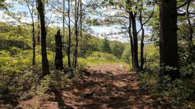 Snake Den State Park (Thumbnail)