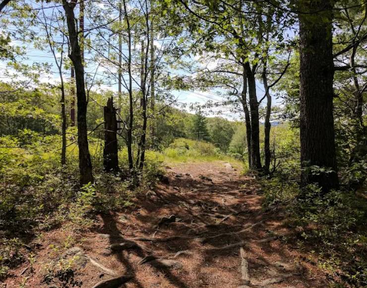 Snake Den State Park (Thumbnail)