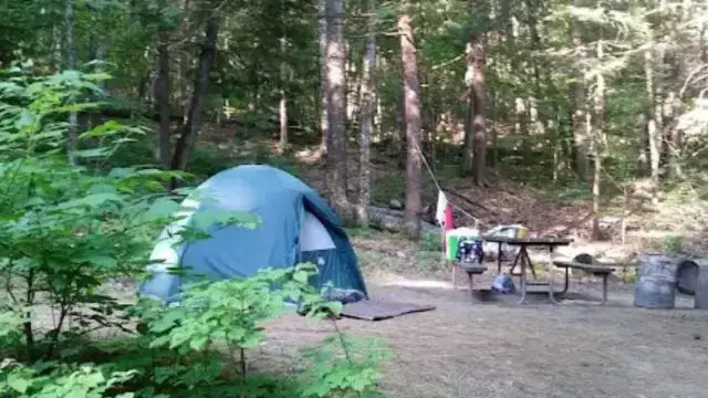 Townshend State Park (Thumbnail)