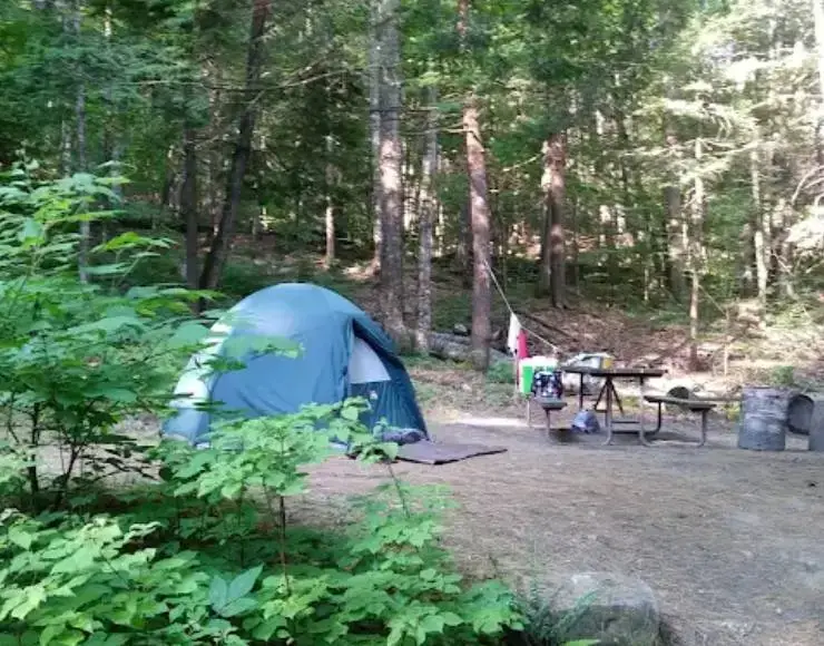 Townshend State Park (Thumbnail)