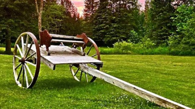 Tree Farm Campground (Thumbnail)