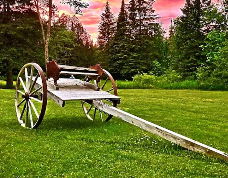 Tree Farm Campground (Thumbnail)