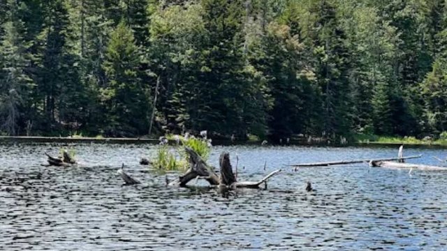 Woodford State Park (Thumbnail)