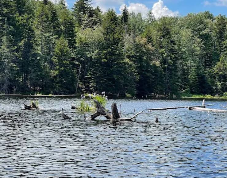 Woodford State Park (Thumbnail)