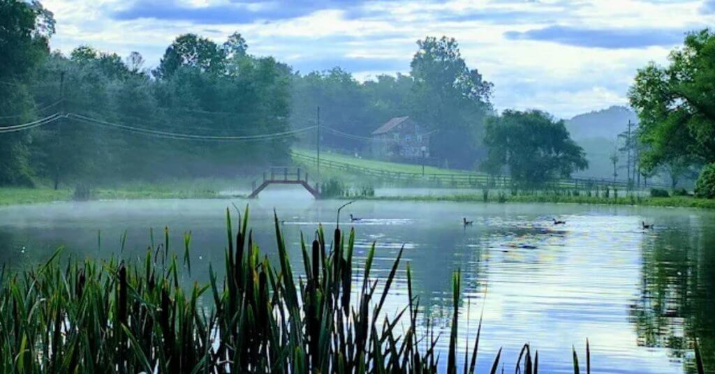 Hickory Run Campground (Thumbnail)