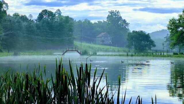 Hickory Run Campground (Thumbnail)