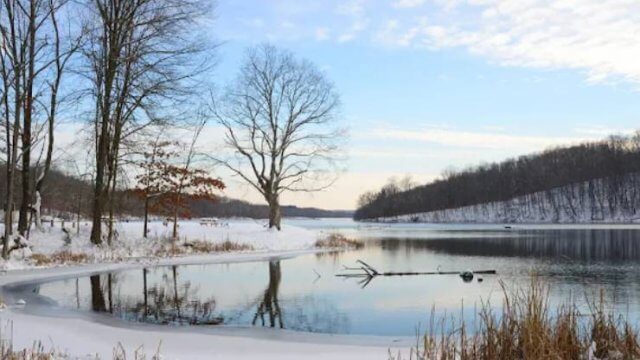 yellowwood state forest (Thumbnail)