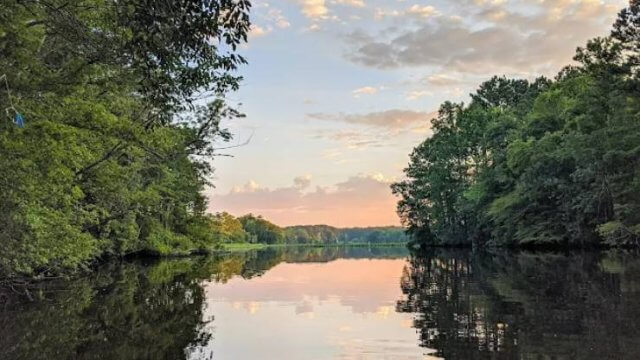 pocomoke river state park (Thumbnail)